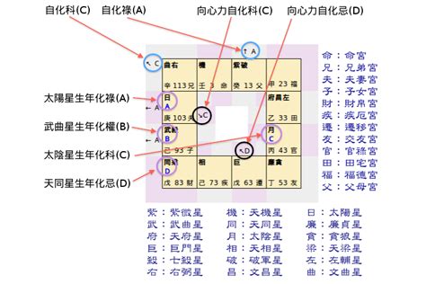 科技紫微網星座|紫微命盤免費算